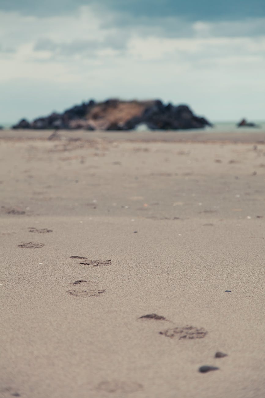 footprints in the sand of a beach shoreline