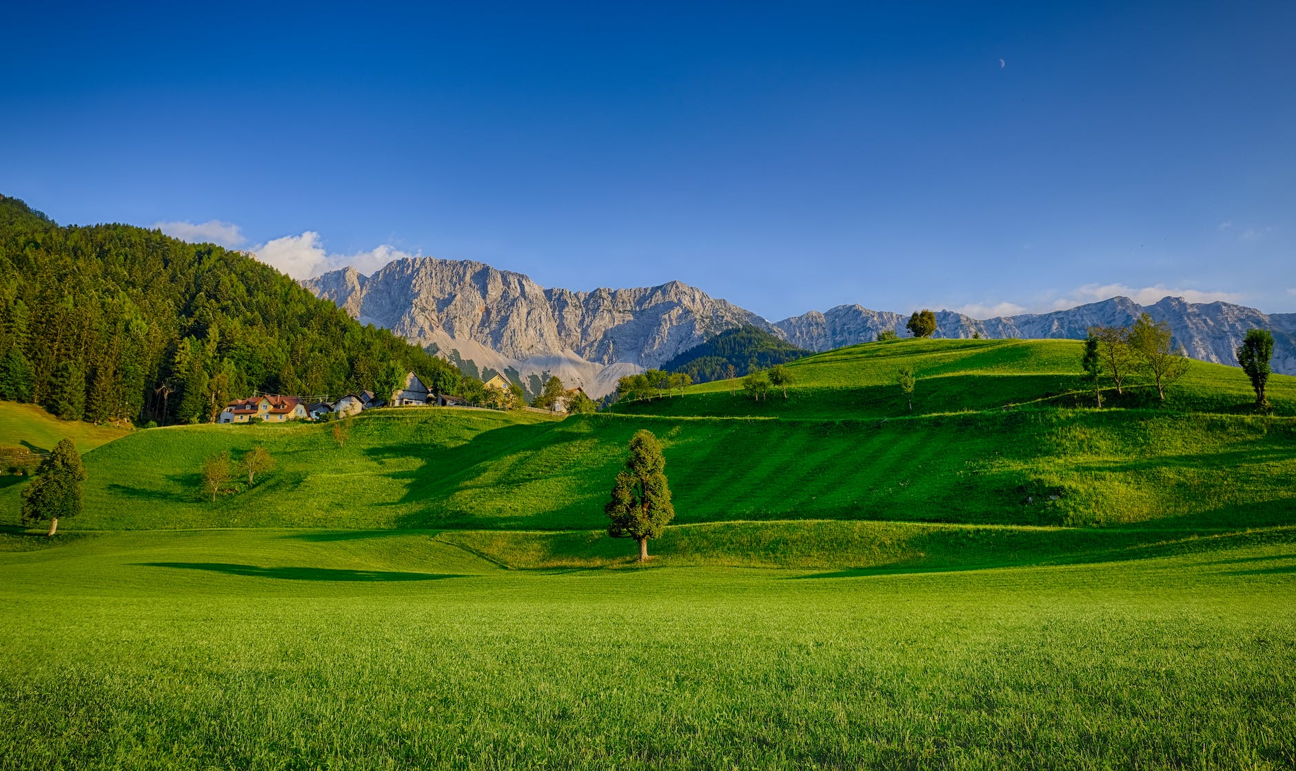 landscape photography of green grass field