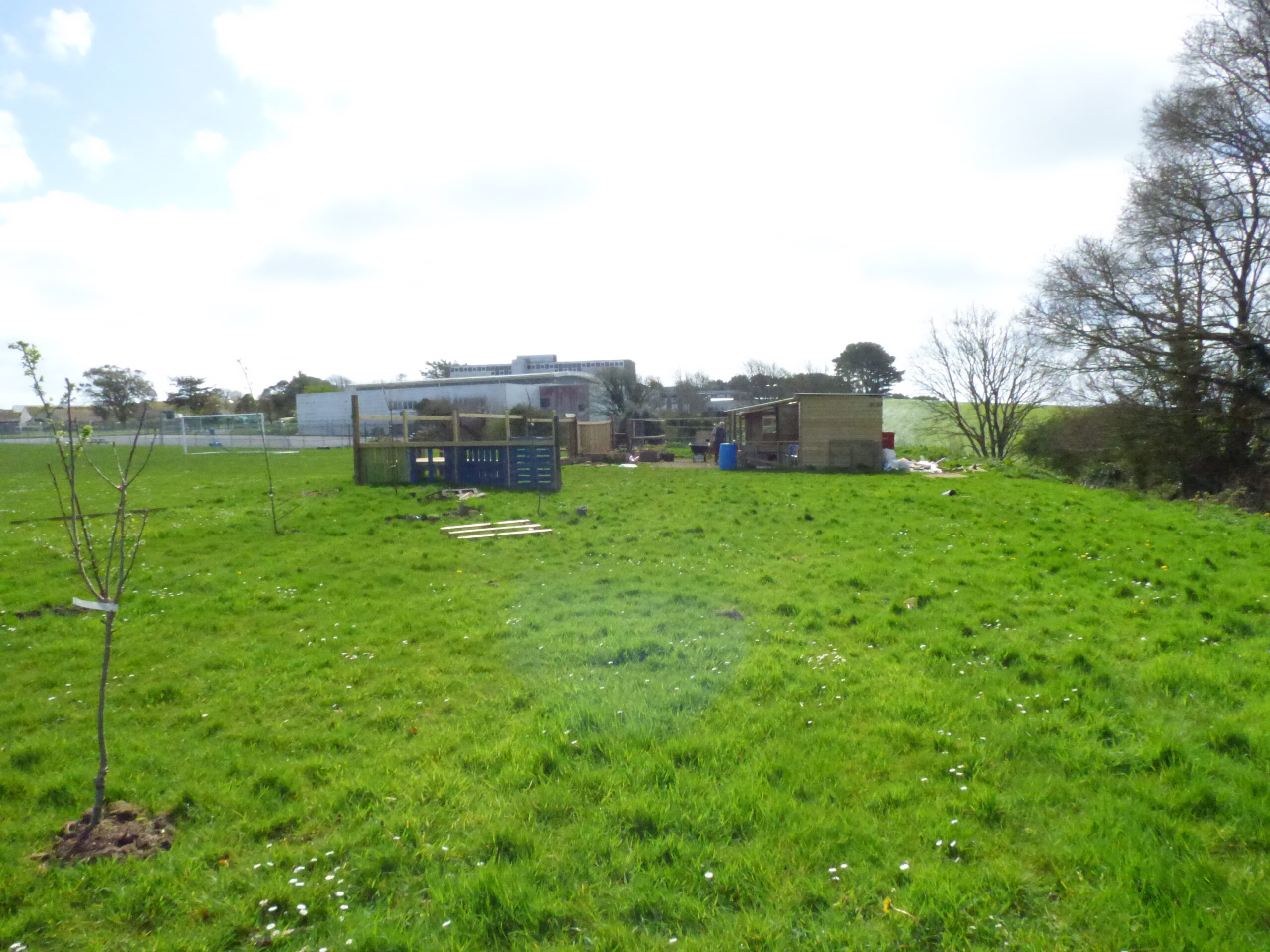 Looking at the farm through the orchard