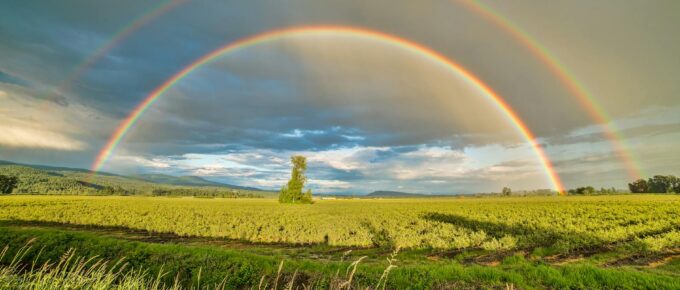 crop field under rainbow and cloudy skies at dayime