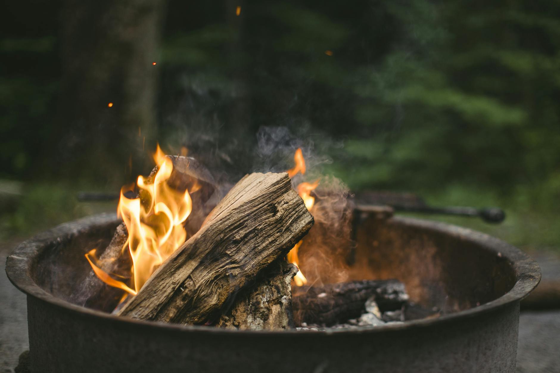 Campfire Feast