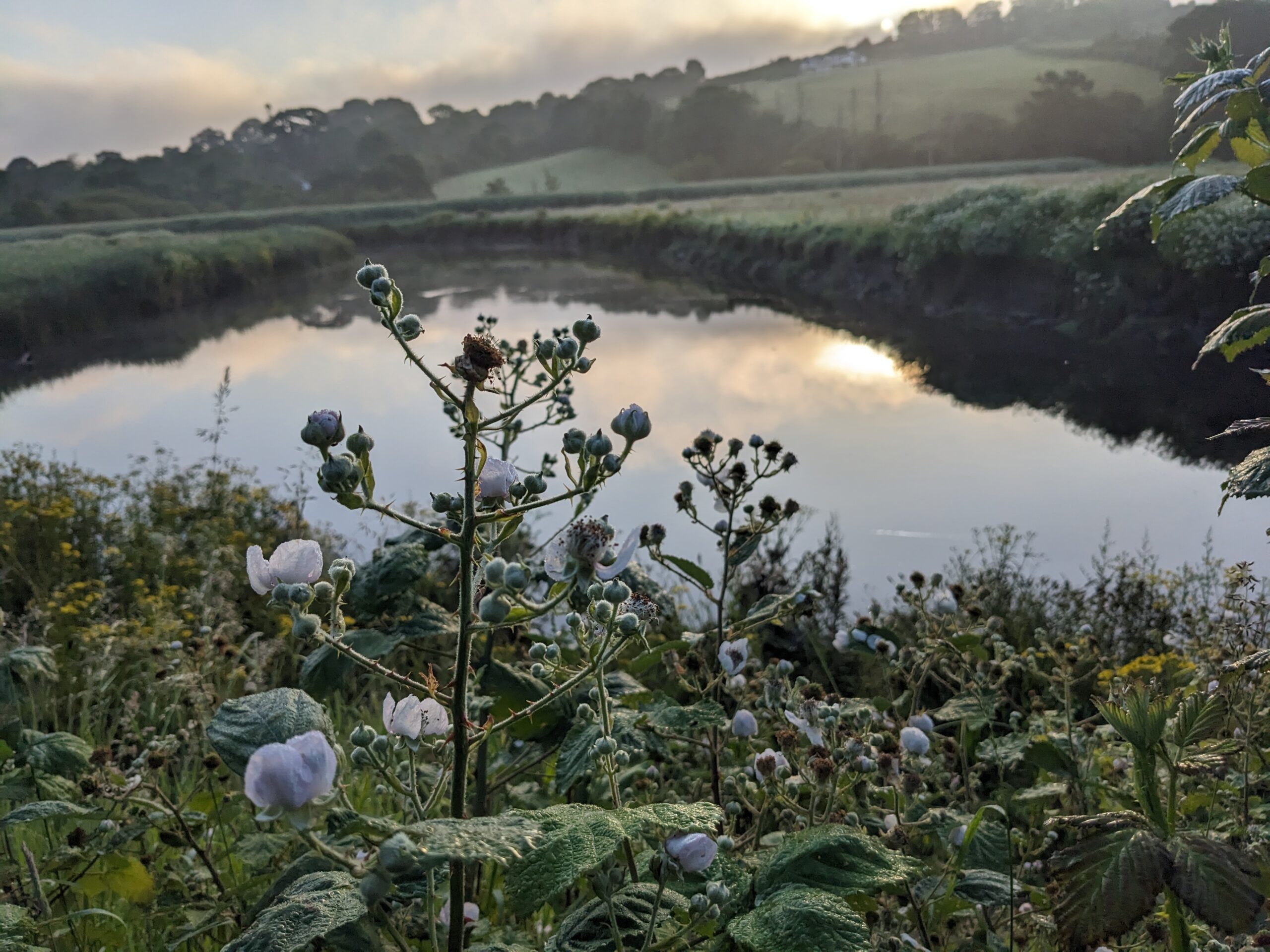 The River Fowey at Sunrise