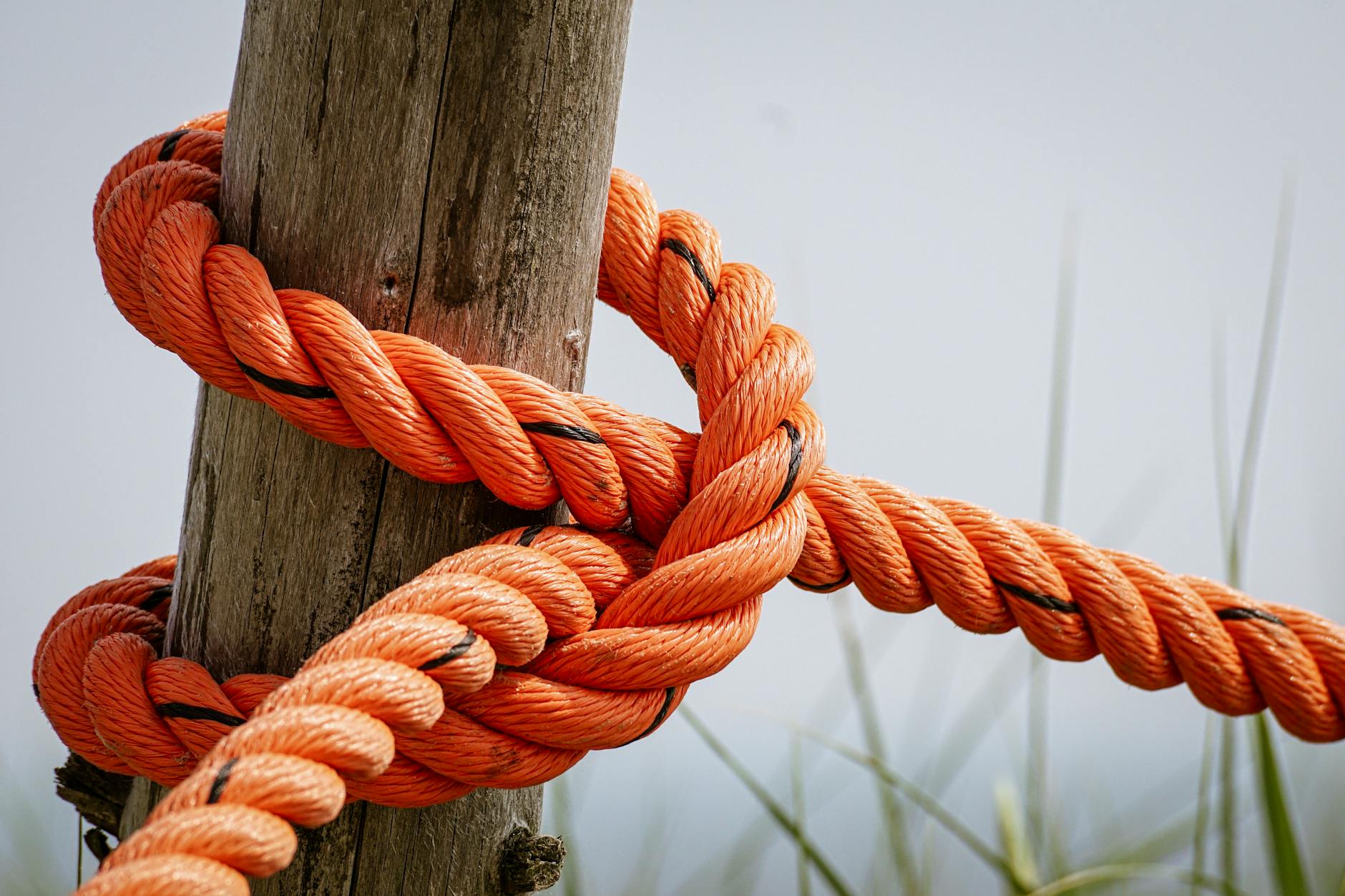 orange rope wrapped brown wood log