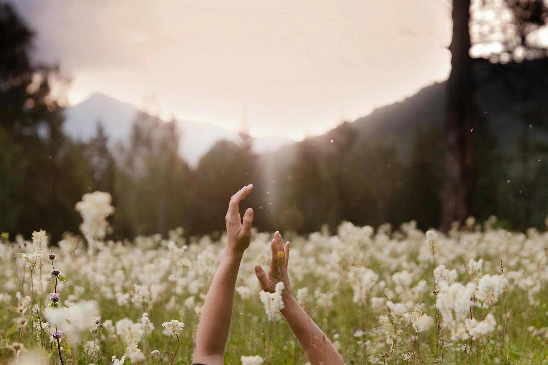 unrecognizable hands raised in flowery mountain meadow