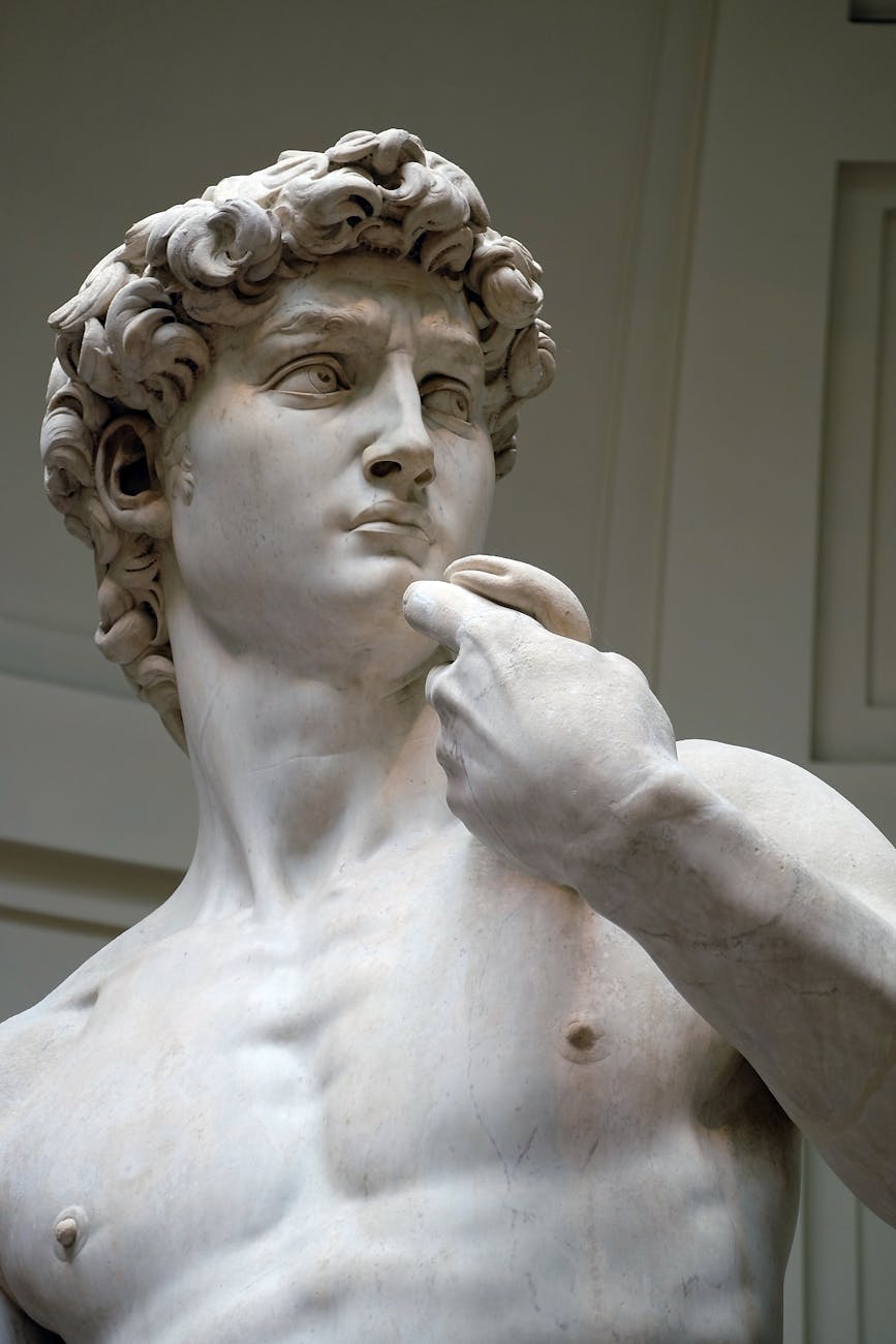 photograph of the sculpture of david of michelangelo