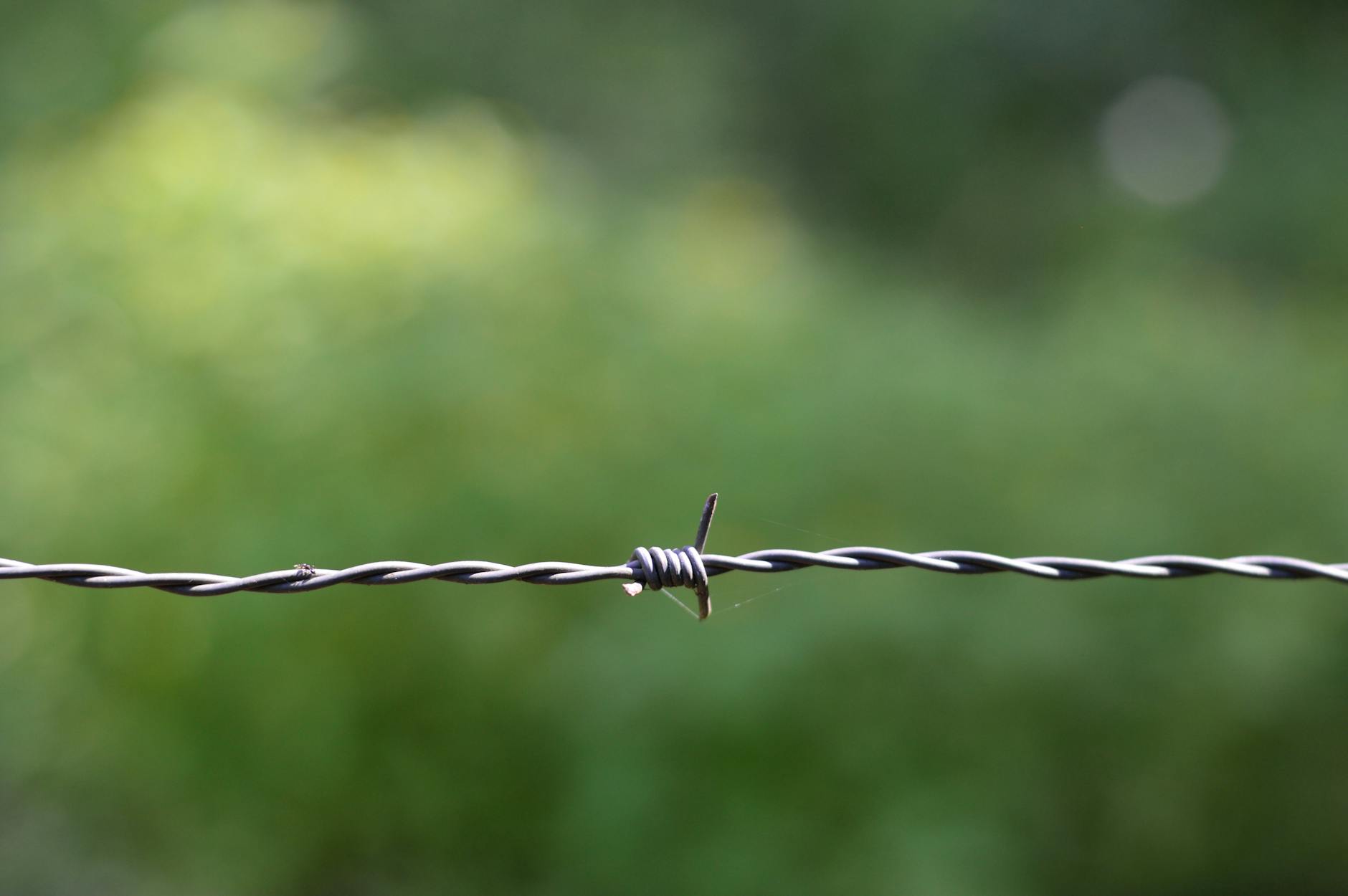 selective focus photography gray link wire fence