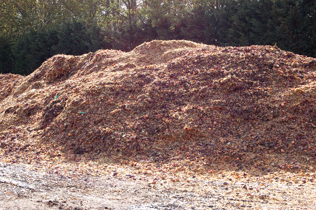 Onion skins and detritus composting