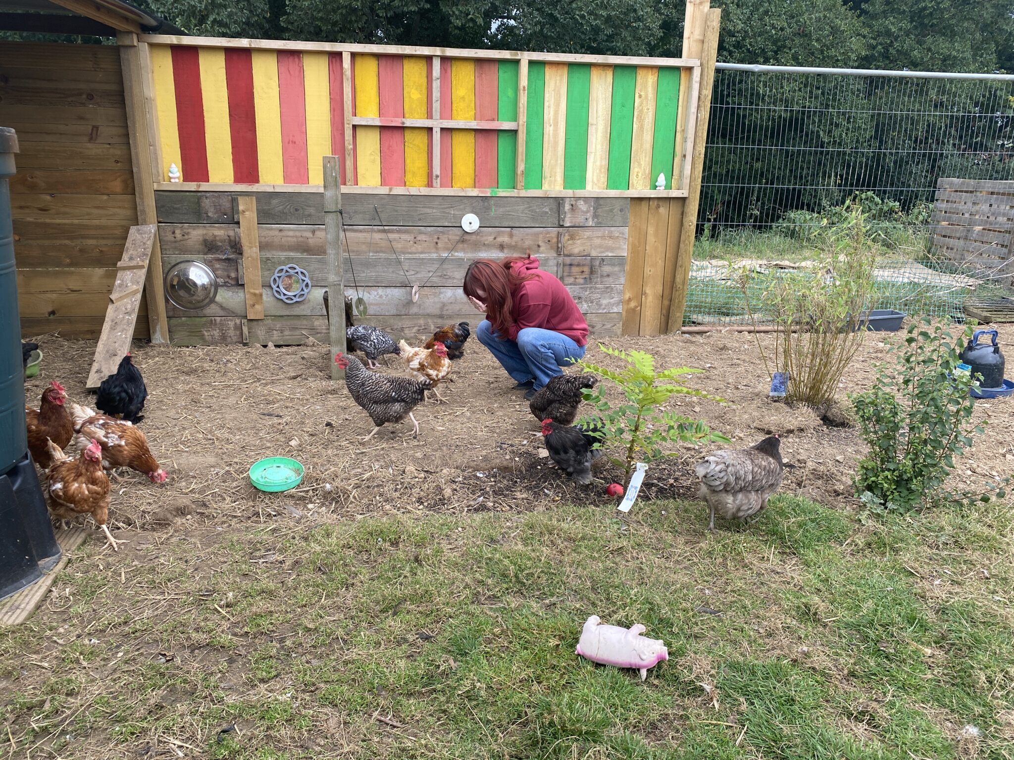 Purpose and Activities of the Fowey River Academy Farm