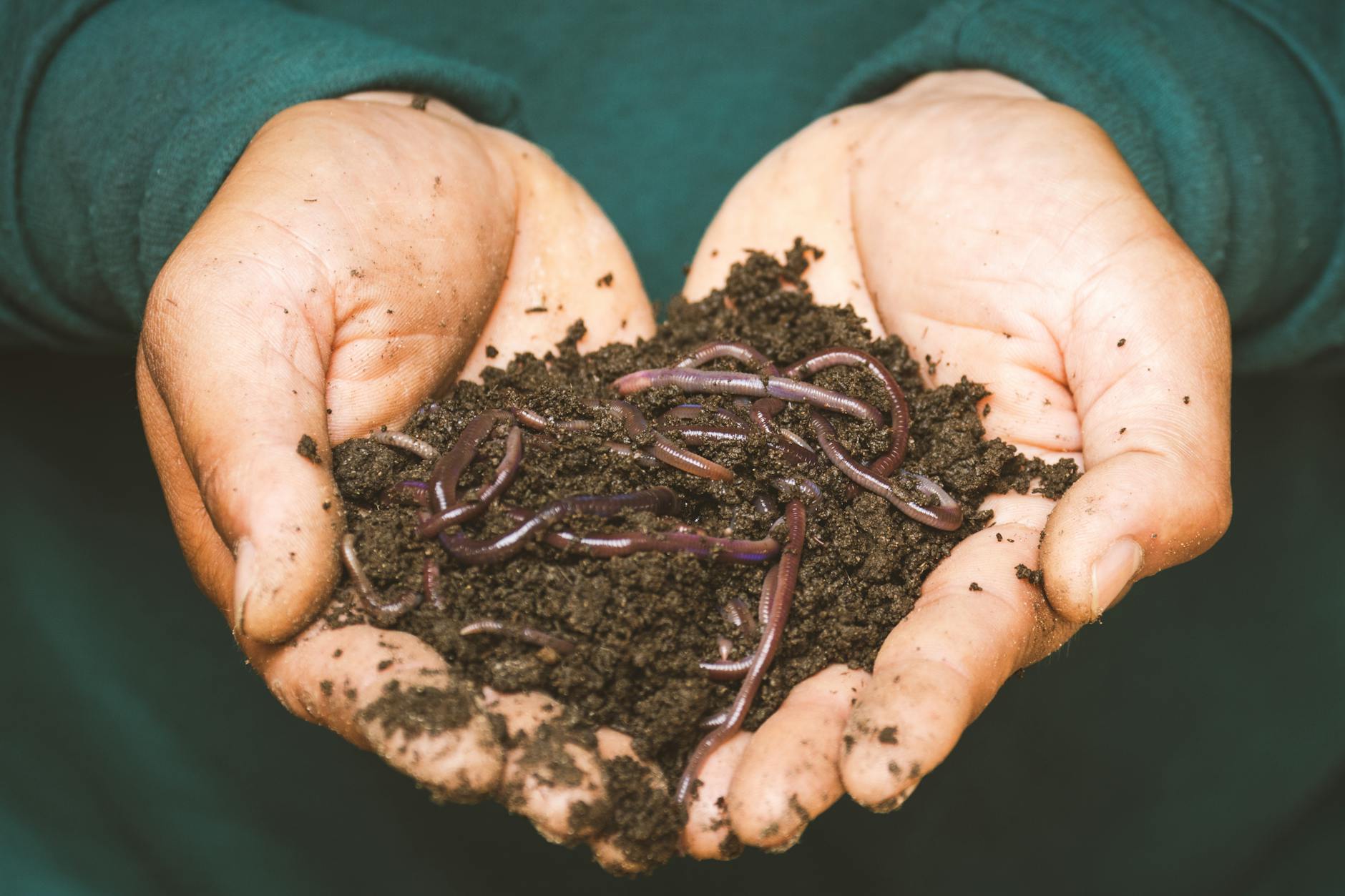 Composting Methods and Implementation: A Beginner’s Guide