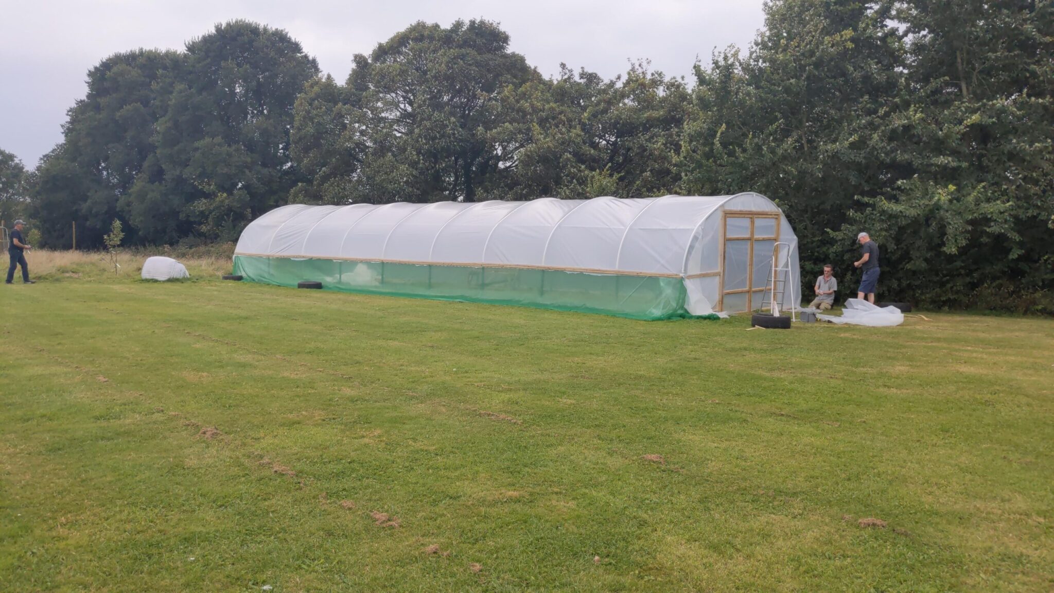 Polytunnel