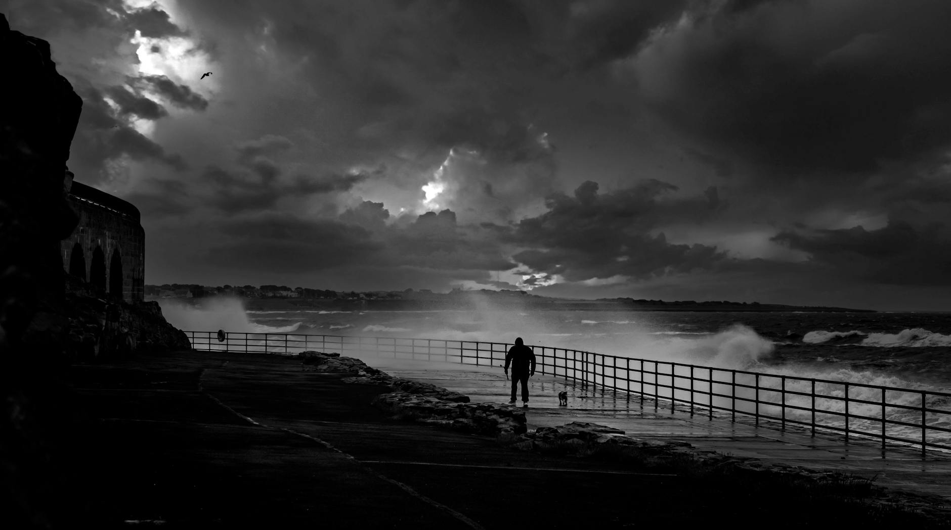 man walking dog by sea during storm