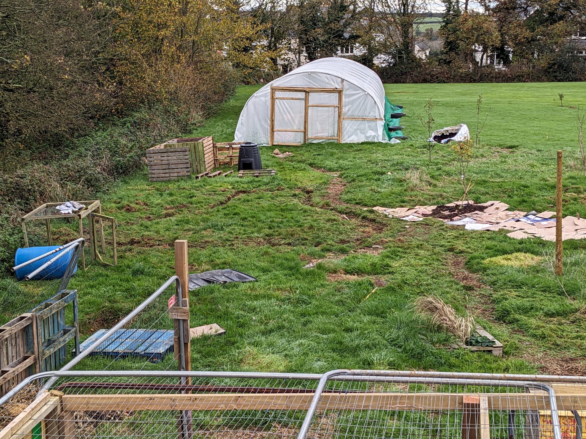 Polytunnel Walk Through