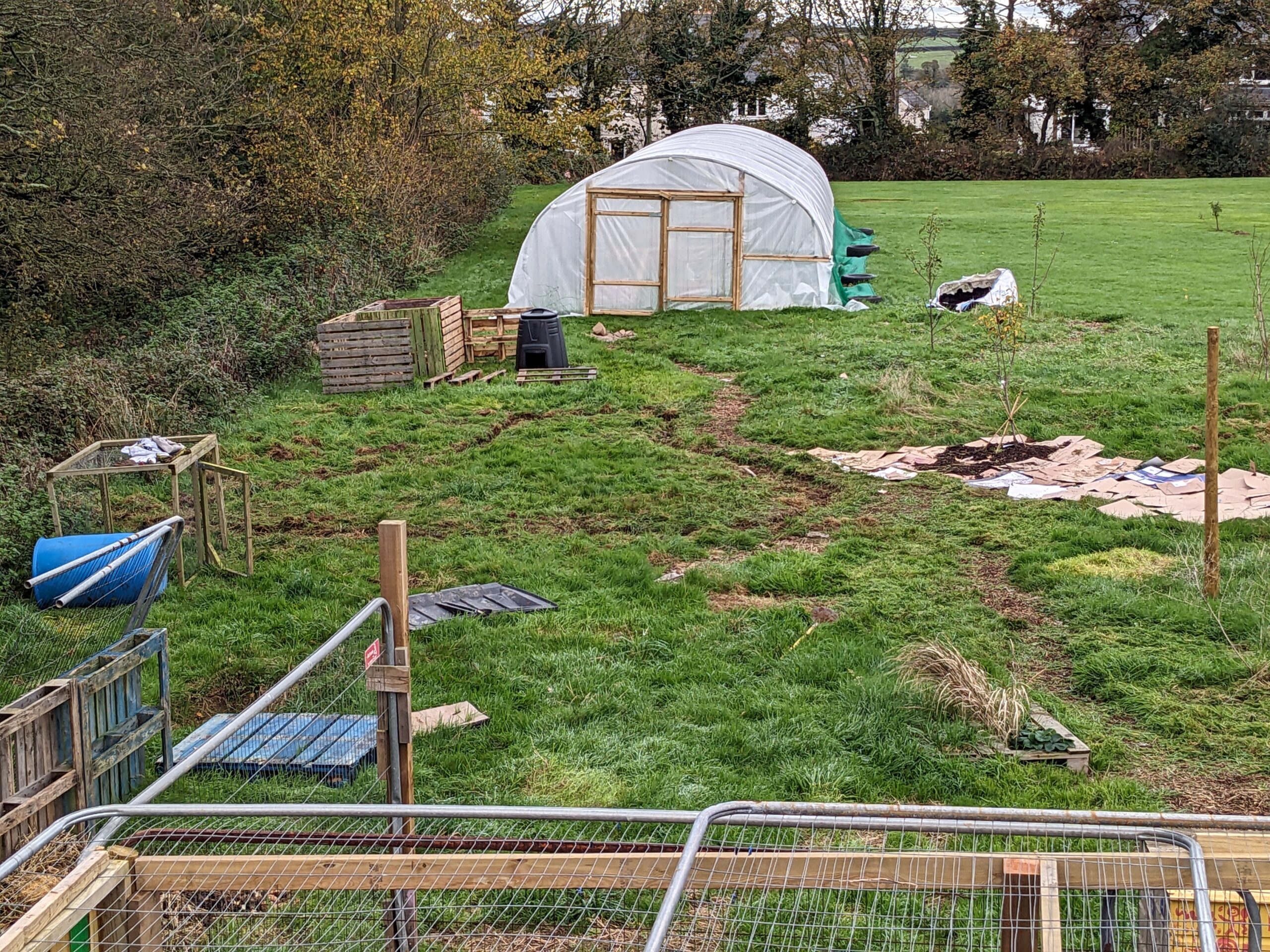 The Polytunnel